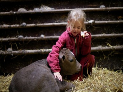 Holiday park Bungalow in Heeten mit Terrasse für 6 Von Belvilla - Outdoor photo 32