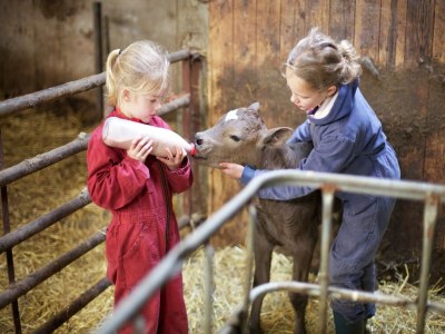 Holiday park Bungalow in Heeten mit Terrasse für 6 Von Belvilla - Outdoor photo 33
