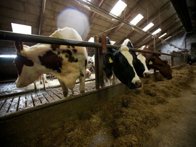 Holiday park Bungalow in Heeten mit Terrasse für 6 Von Belvilla - Outdoor photo 34