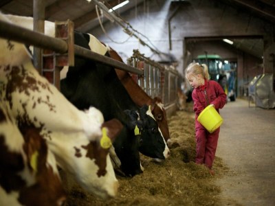 Holiday park Bungalow in Heeten mit Terrasse für 6 Von Belvilla - Outdoor photo 38
