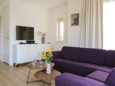 Holiday park Villa in Friesland with Waterfront Jetty - Features photo 19