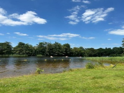 Holiday park Villa in Friesland with Waterfront Jetty - Environment photo 34