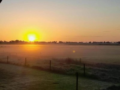 Holiday park Villa in Friesland mit Wassersteg - Environment photo 15