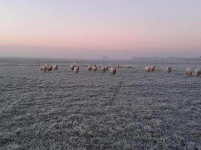 Holiday park Villa in Friesland mit Wassersteg - Environment photo 34