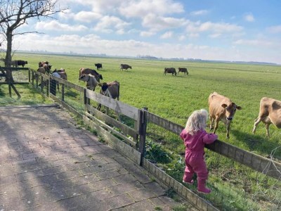 Holiday park Villa in Friesland mit Wassersteg - Environment photo 35