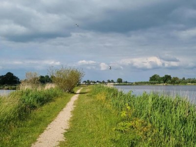 Apartment Apartment Sneekermeer Natur 2 PAX 1 Von Belvilla - Environment photo 20