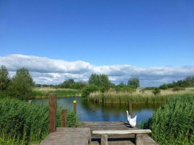 Holiday park Nice holiday home on the water in Friesland - Environment photo 26