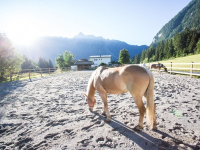 Holiday house Anna's Country House - Environment photo 20