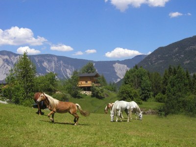 Holiday house Anna's Country House - Environment photo 24