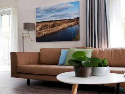 Holiday house Luxusvilla am Naturschutzgebiet De Alde Feanen - Features photo 16