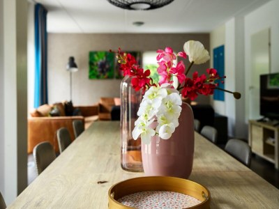 Holiday house House in Vlagtwedde with Sauna and Hot Tub - Outdoor photo 28