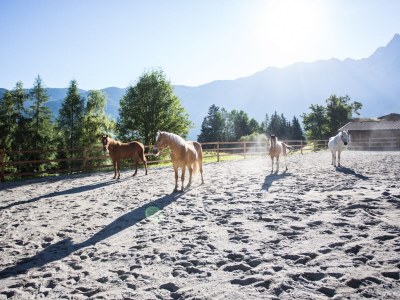 Holiday house Chalet Astrid - Outdoor photo 7