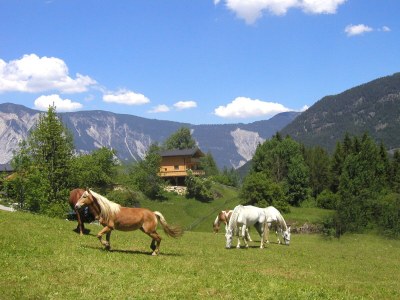 Holiday house Chalet Astrid - Environment photo 17