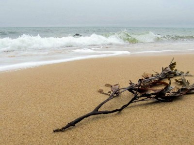 Holiday house 4 Personen Ferienhaus in Gilleleje-By Traum - Outdoor photo 11