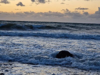 Holiday house 4 Personen Ferienhaus in Gilleleje-By Traum - Outdoor photo 42