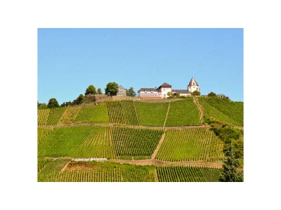 Holiday apartment Gerhard - Environment photo 15