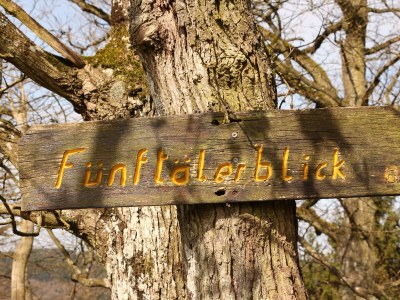 Holiday apartment Gerhard - Environment photo 16