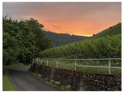 Holiday apartment Gerhard - Environment photo 17