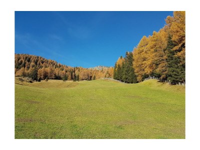 Holiday room Doppelzimmer - Outdoor photo 7