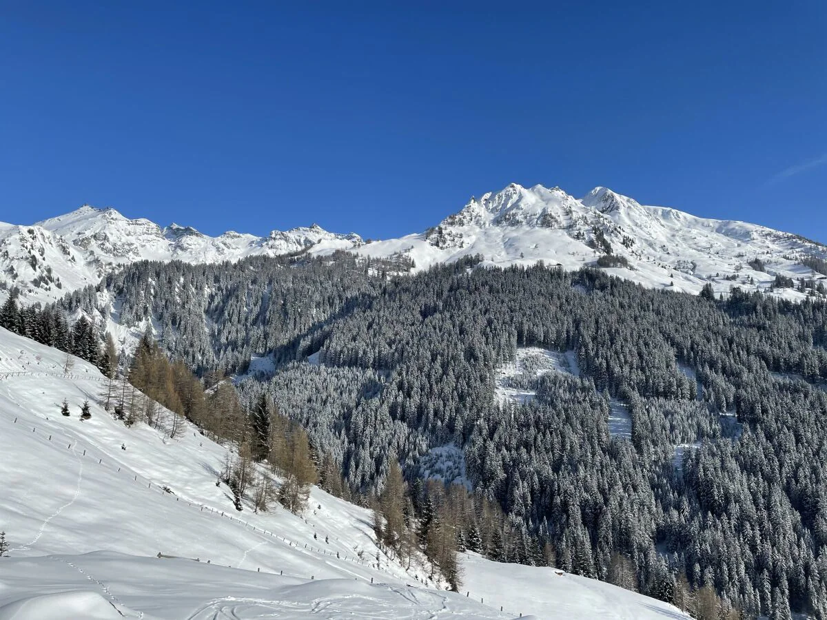 Apartment Ferienwohnung Serlesblick - Outdoor photo 3