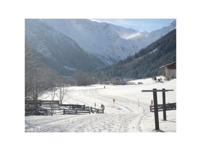 Apartment Ferienwohnung - Outdoor photo 17