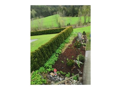 Apartment Appartement - Features photo 7