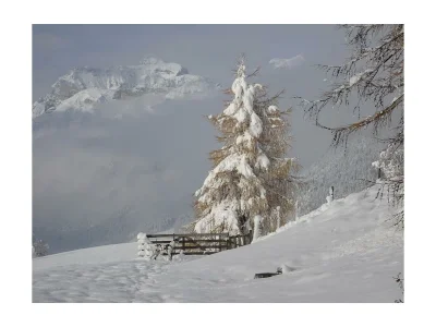 Apartment Ferienhaus - Outdoor photo 17