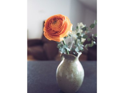 Apartment Ferienwohnung Luisa - Outdoor photo 47