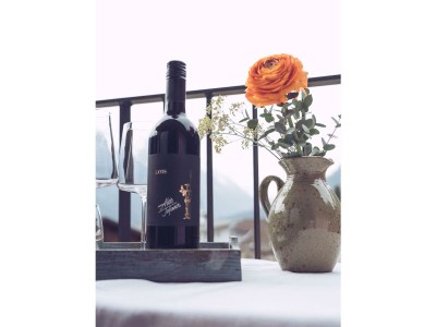 Apartment Ferienwohnung Luisa - Features photo 80