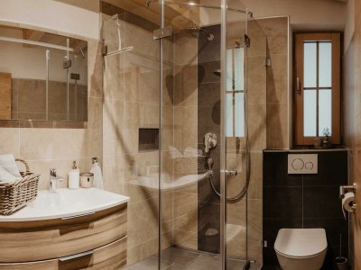 Apartment Bergler Hoamat in Navis - Apartment