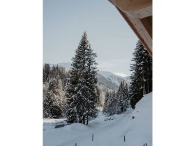 Apartment Bergler Hoamat - Outdoor photo 8