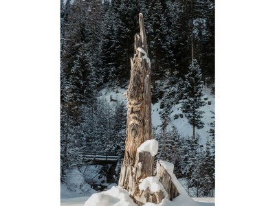 Apartment Bergler Hoamat - Outdoor photo 10