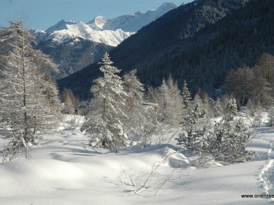 Holiday room Einzelzimmer Adlerhorst - Outdoor photo 17
