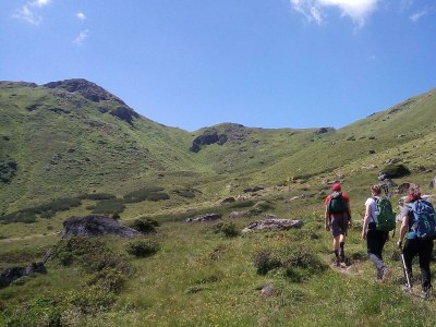 Holiday room Einzelzimmer Adlerhorst - Outdoor photo 20