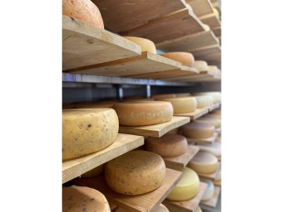 Holiday room Einzelzimmer Adlerhorst - Outdoor photo 21