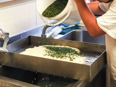 Holiday room Einzelzimmer Adlerhorst - Outdoor photo 30