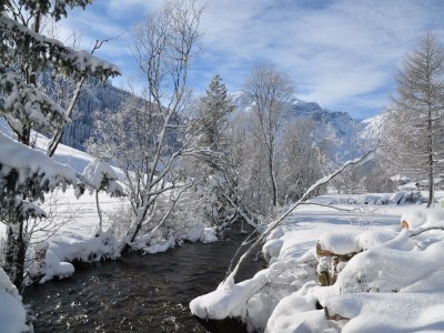 Holiday room Einzelzimmer Adlerhorst - Outdoor photo 37