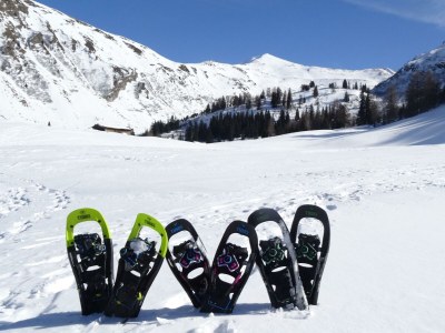 Holiday room Einzelzimmer Adlerhorst - Outdoor photo 39