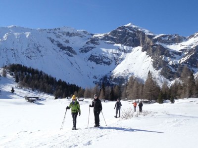 Holiday room Einzelzimmer Adlerhorst - Outdoor photo 40