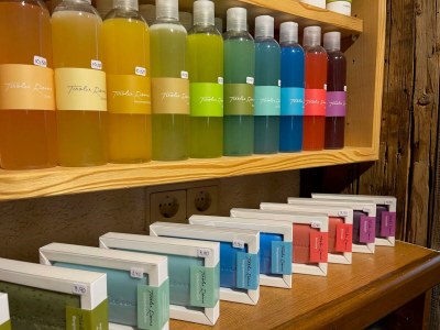 Holiday room Einzelzimmer Adlerhorst - Outdoor photo 41