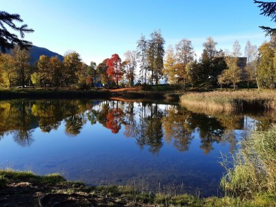 Holiday room Zweibettzimmer Standard - Outdoor photo 17