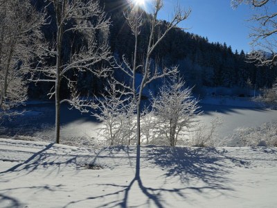 Holiday room Zweibettzimmer Standard - Outdoor photo 18