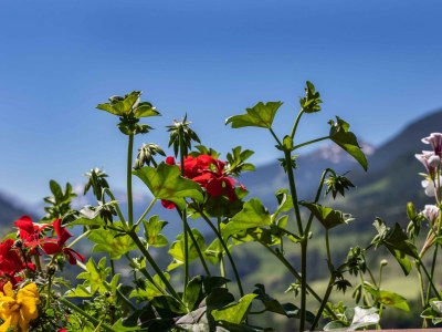 Apartment Ferienwohnung im 2.Stock - Outdoor photo 10