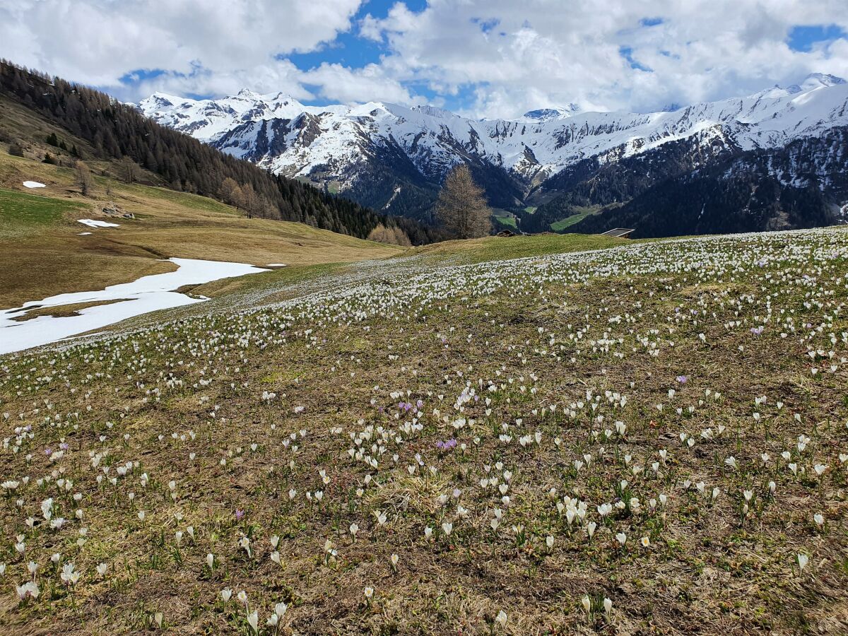 Apartment Stadl #03 - Outdoor photo 4