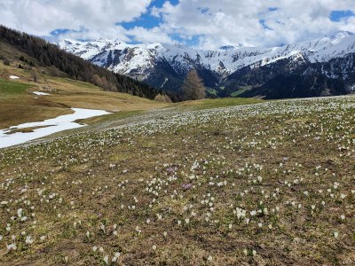 Apartment Stadl #03 - Outdoor photo 4