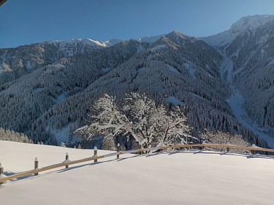 Apartment Stadl #03 - Outdoor photo 32