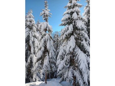 Apartment Stadl #03 - Outdoor photo 34