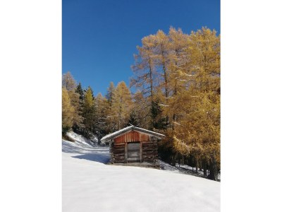 Apartment Stadl #03 - Outdoor photo 39