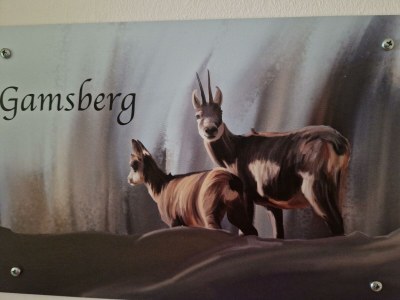 Apartment Gamsberg - Features photo 18