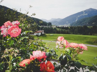 Apartment Wohnung Erdgeschoss - Outdoor photo 9